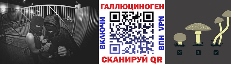Галлюциногенные грибы мицелий  хочу   Шумерля 